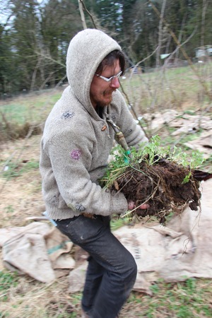 Tree Transplanting Tree Transplanting