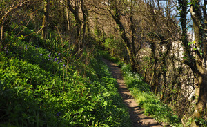 path work